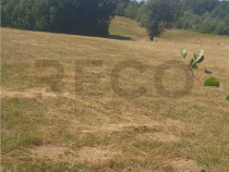 RECO, Teren intravilan, zona Sinteu, 2 Km de Huta Slavia