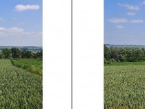 Teren extravilan Bosanci, ID: R2649420