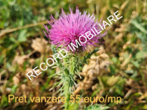 Teren intravilan 1095 mp, zona Molitura Apahida