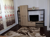 Apartament 1 camera calea calarasilor
