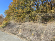 Oportunitate! 5 hectare Padure, Satul de Vacanta, parcelabil