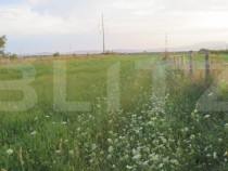 Teren intravilan 6000 mp cu 2 fronturi, parcelabil