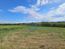 Teren extravilan 12000 mp- Pădureni-Șendriceni, Botoșani