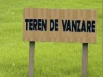 Teren extravilan, 8900 mp, Vama Siret