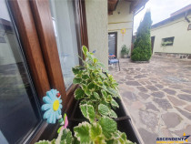 Proprietate cu 3 corpuri, curte individula, potential regim