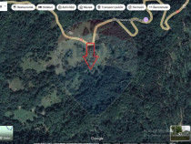 Teren Lepsa Soveja DN2 L