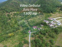 TEREN cu priveliste- Valea Cerbului