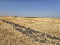 Teren extravilan Zimnicea cota parte 1/6 ID: R2688418