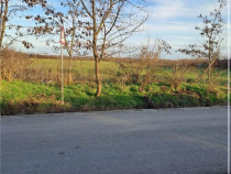 RECO Teren intravilan 2266 mp