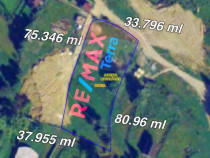 DE VANZARE TEREN INTRAVILN PENTRU CABANA BORSA