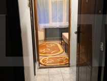 Apartament cu o cameră Buziașului
