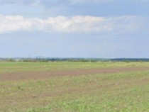 Teren extravilan Cocorastii Colt ; ID: R2710069