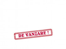 Casa batraneasca, teren 19.000 mp, Fratautii Vechi