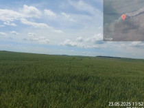 Teren extravilan 5000 mp Loc Plesoiu, Jud Olt