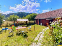 FILM Tur LIVE! Casa de vacanta, intr- o ariere admirabila,Lu