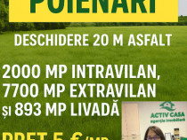 DE VANZARE 1 HA ,teren zona Poienari,Neamt