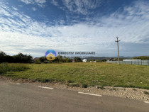 Teren de vânzare 1800 mp – Dumbrava Roșie