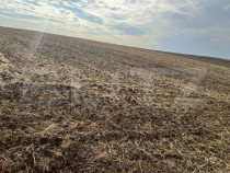 Teren de vanzare, 3.742 mp, zona Ghercesti