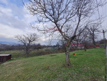 Teren intravilan la Strada Principala in Haulisca