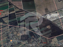 Refugiu la marginea padurii — 1000 mp de liniste in Cocani