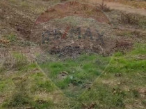 Teren 5,000mp Tantava / Strada Tufan