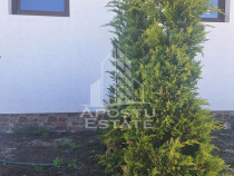Duplex in Bucovat,bine amplasat cu finisari de calitate.