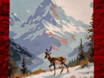 Picturi cu vopsea acrilică pe pânză