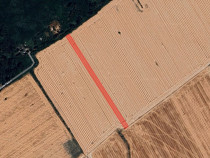 Teren intravilan Buftea 9993mp