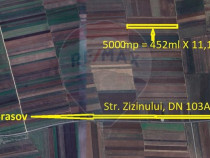 Teren Extravilan 5.000 mp Tarlungeni / Strada Zizinului