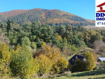 3600 mp teren intravilan, sat Bistrita, 16 Euro/mp