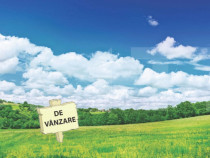 Teren intravilan 743 mp Recaș