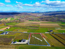 Teren intravilan de vanzare 104 AR front generos la DN Ba...