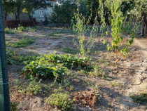 Casa Jud. Dâmbovița Corbii Mari, Baraceni