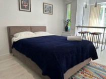 Garsoniera de inchiriat in zona Fundeni