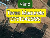 Teren Cornetu langa padure