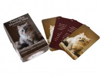 1 Set de Carduri oracol - Pisica mea, maestrul meu