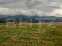 Teren extravilan 8600 mp, C&acirc;rțișoara- Coasta lui Nache