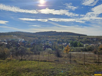 Rezidenta noua, oportunitate personalizare, peste 1.500mp, P