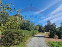 OCAZIE. De vanzare teren în Cicarlau - Strada 1 Mai - su...