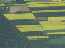 `Teren cu dubla deschidere, langa padure, Snagov - Strada Pa