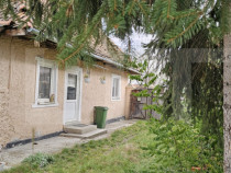 Casă țărănească în centrul localității Ilieni – te