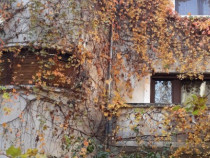 Inchiriere spatiu de birou/activitate profesionala/Bd. Dacia