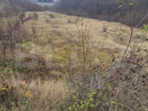 Teren 1.765 mp, sub Barajul Căp&acirc;lna