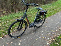 Bicicleta electrica Stella