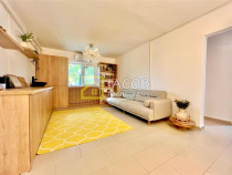 Apartament cu destinatia Spatiu comercial, zona Ana Ipatescu