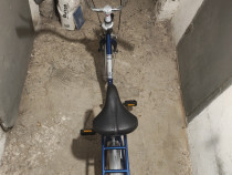 Bicicleta pegas retro