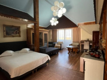 Sibiu, inchiriem vila turistica pentru Revelion 2026