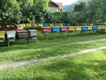 Lazi de albine orizontale