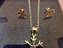 Set snowflakes argint