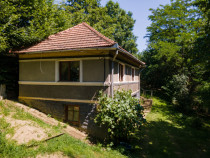 Proprietate cu potențial turistic, &icirc;n zona Negreni &ndash; Buc